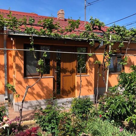 Casuta Lavi Constanta Villa Exterior foto