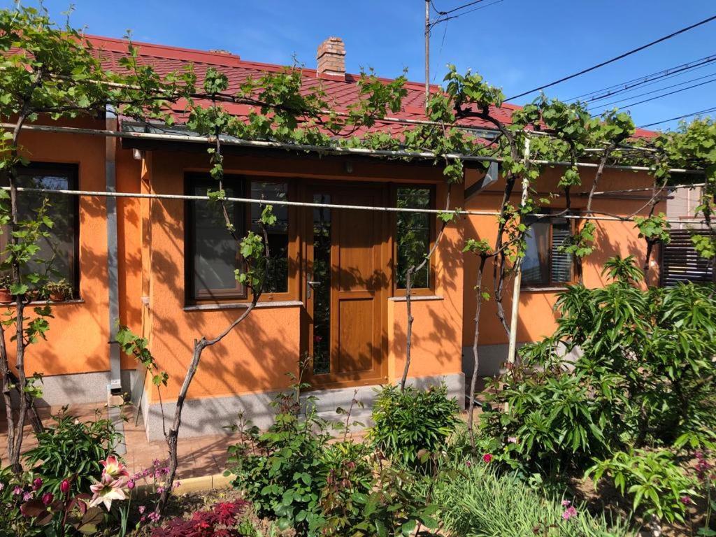 Casuta Lavi Constanta Villa Exterior foto