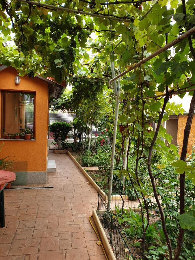 Casuta Lavi Constanta Villa Exterior foto